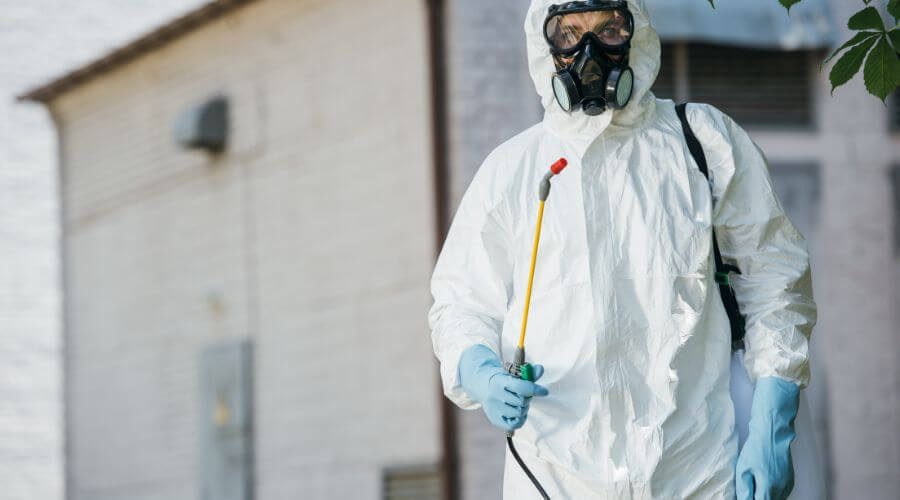 Professional german roach extermination smyrna ga services in Smyrna - Reliable Roach Extermination GA Pros
