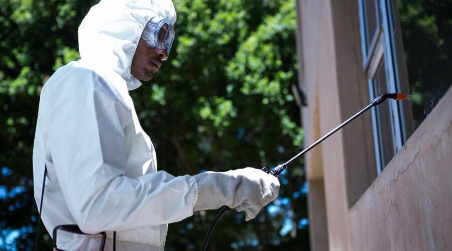 Why choose Reliable Roach Extermination GA Pros for german roach extermination smyrna ga in Smyrna